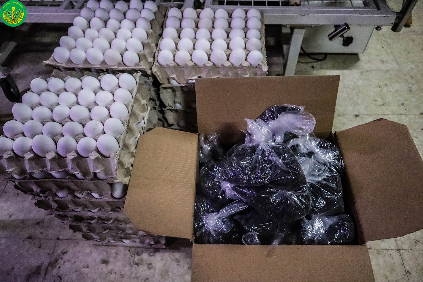 توزيع المساعدات النقدية